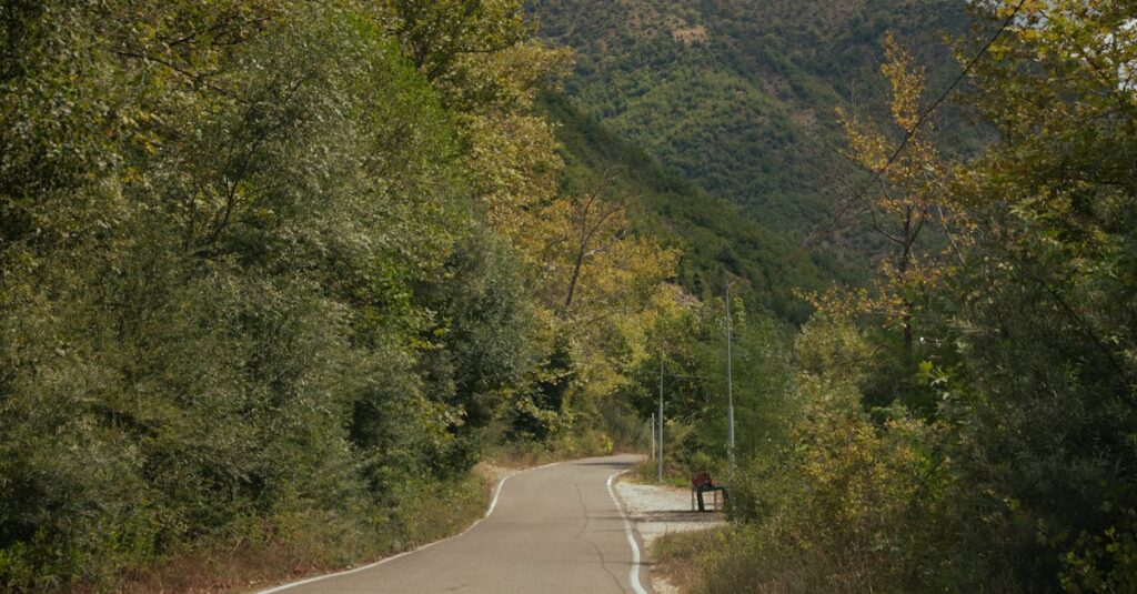Explore a serene winding road in the lush countryside of Shëngjergj, Albania.